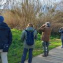Retour sur le week-end de comptage des oiseaux des jardins en Pays catalan